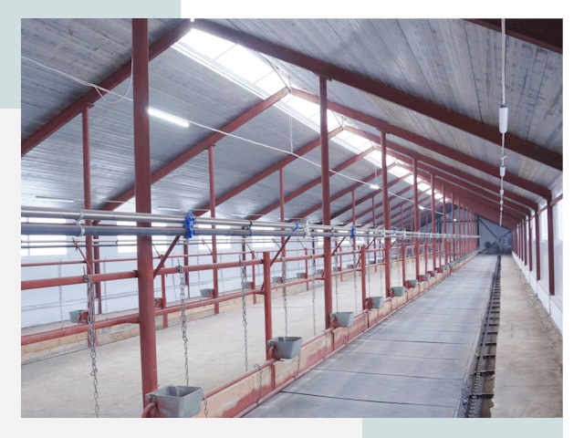 Строительство коровников в Ивантеевке от 617 руб.