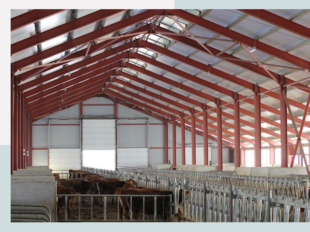 Строительство коровников в Ивантеевке