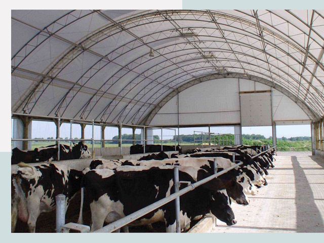 Тентовые коровники в Ивантеевке